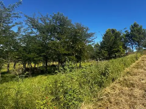 Terreno en Venta en Villa Del Parque, USD 105.000