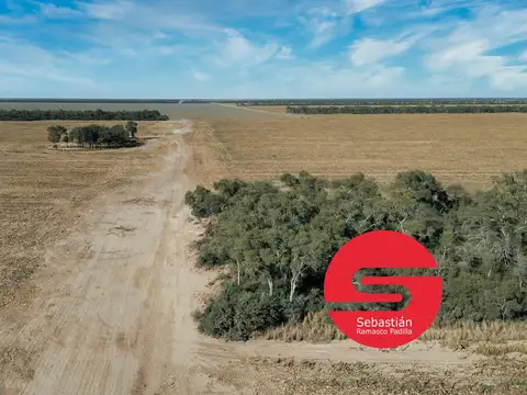 Campo venta  Santiago del Estero 1350 has.