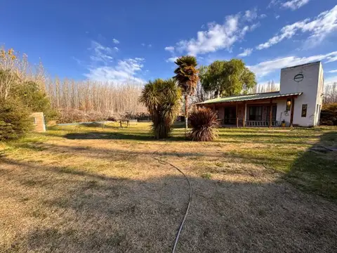 Plottier 1 Hectárea con dos casas y quincho a una cuadra de la ruta 22