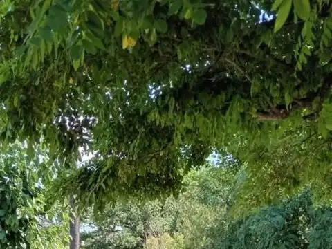 Casa en Venta 20 años