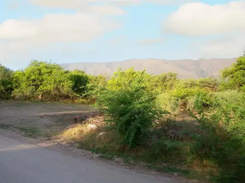 Terreno en Venta en Centro, USD 35.000