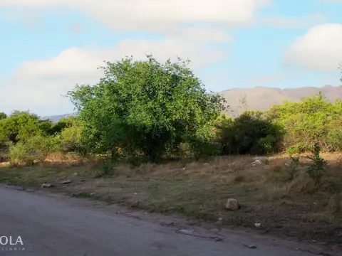 Terreno en Venta de 872,0 m2