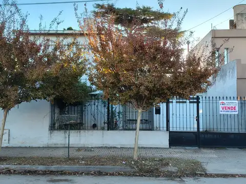 Moreno 800
