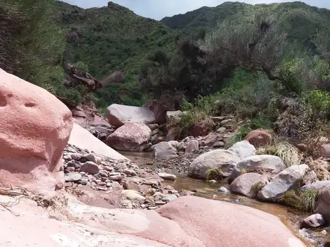Campo agricola , ganadero,minero  - Patquia la Rioja