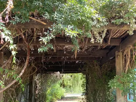 QUINTA EN VENTA EN CHIVILCOY CON PILETA