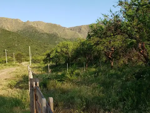 Terreno en Venta de 2000,0 m2