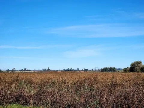 ruta 9 Km  km 217 200