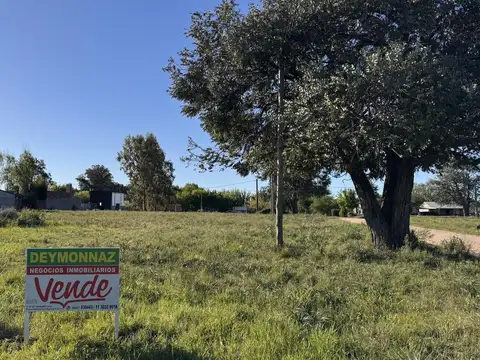 Terrenos en San José Barrio Perucho 