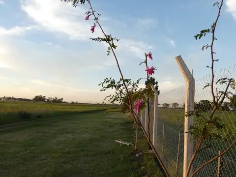 Terreno en Venta 12  mts Frente