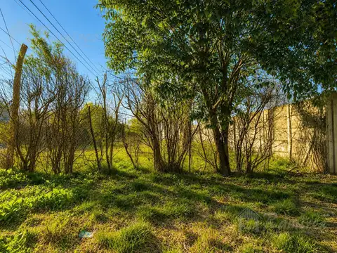 Lote Terreno En Venta - Francisco Alvarez, Moreno