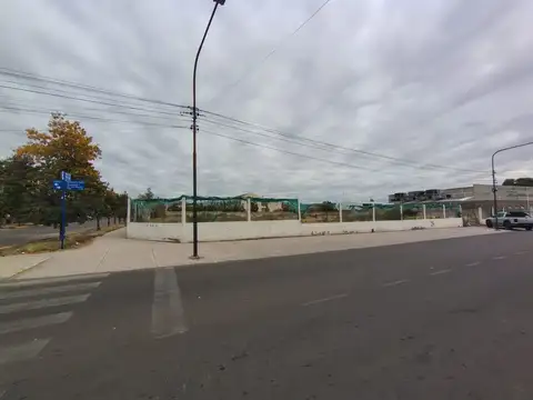 Dionisio Herrero 200