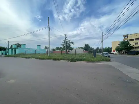 Calle 300 100