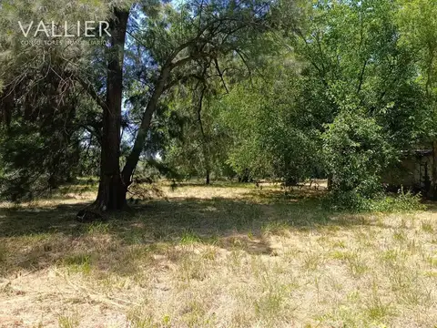 Los Tambos Ruta 25 Pilar km 7,5 100