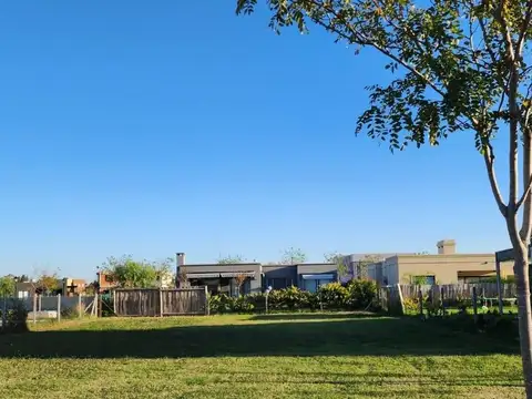 PILAR DEL ESTE-LOTE- SANTA EMILIA- 533M