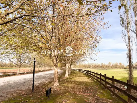 Terreno en Venta en General Rodriguez, USD 60.000