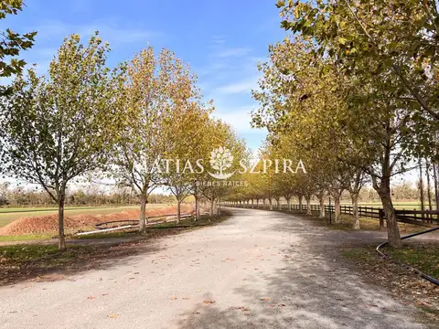 Terreno en Venta en General Rodriguez, USD 60.000