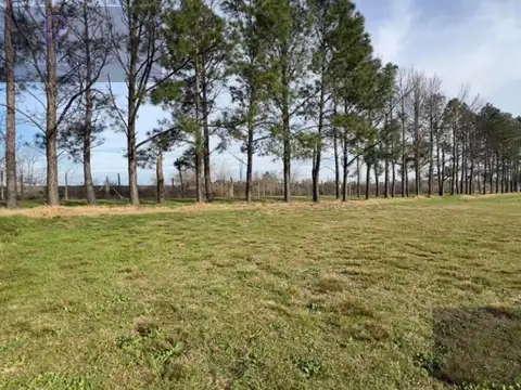 Terreno en Venta en Open Door, USD 36.000