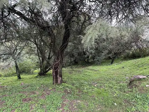 Terreno en Country Cinco Lomas
