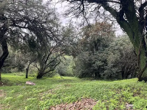 Terreno en Venta en Cinco Lomas, USD 110.000
