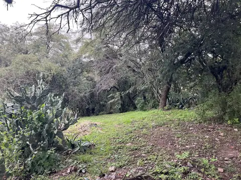 Terreno en Country Cinco Lomas