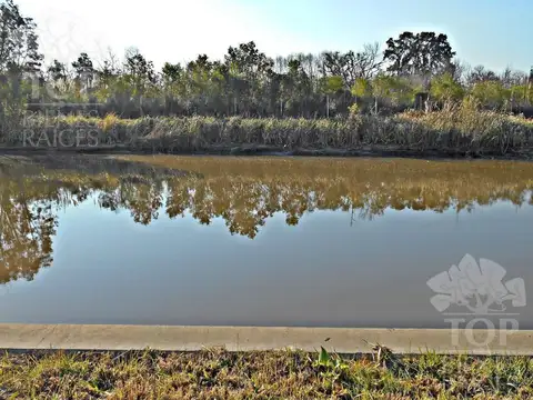 Terreno en Venta de 851,0 m2