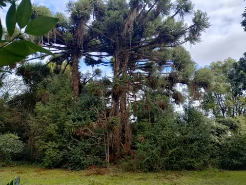 Terreno en Venta en Lomas de San Isidro, USD 450.000