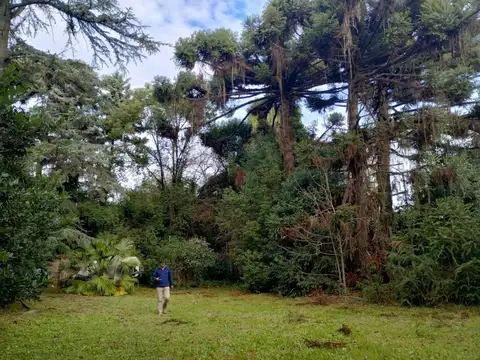 Terreno en Venta 50  mts Fondo