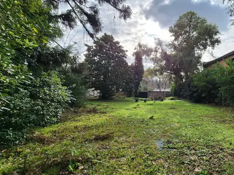 Intendente Tomkinson  al 2500