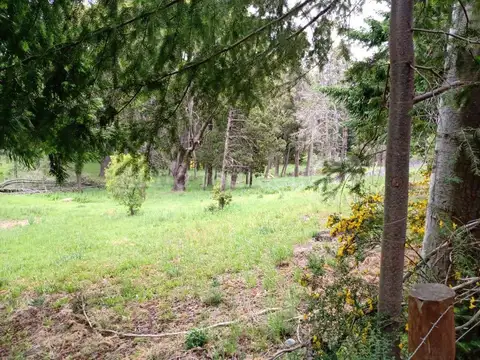 Terreno en Venta en Villa Traful, USD 275.000