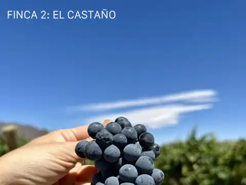 Ruta provincial 412, Puchuzun, Calingasta, San Juan