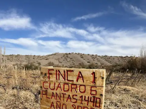Ruta provincial 412, Puchuzun, Calingasta, San Juan