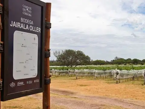 CAMPO 11 HECTAREAS DE VIÑEDO CASA BODEGA 866 M2