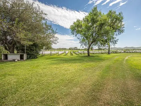 CAMPO 11 HECTAREAS DE VIÑEDO CASA BODEGA 866 M2