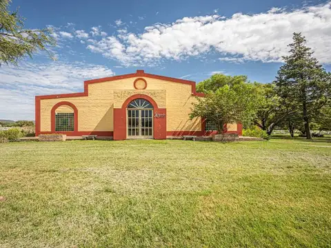 CAMPO 11 HECTAREAS DE VIÑEDO CASA BODEGA 866 M2