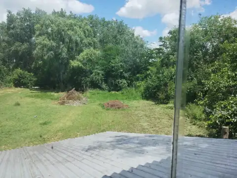 Migueletes zelaya 100