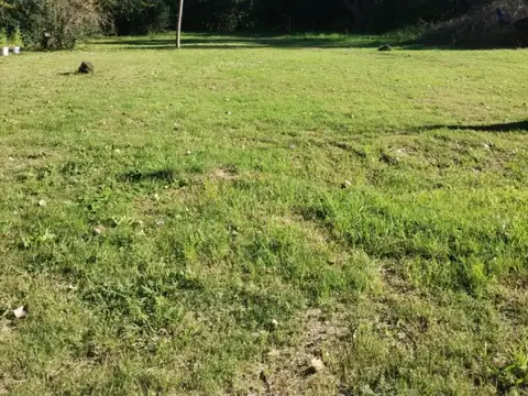 Terreno / Lote en venta de 1500m2 ubicado en Zelaya