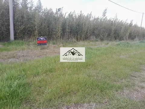 sierra de la ventana 100