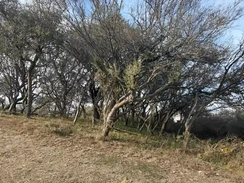 Mactolote 4