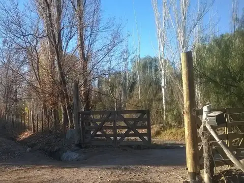Venta de Finca. Maipú. Mendoza.