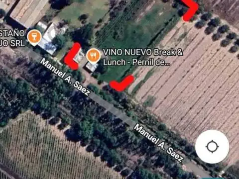 Venta de Finca. Maipú. Mendoza.