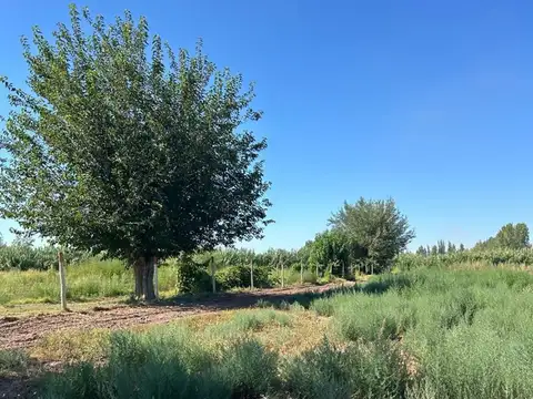 FINCA DE 7,5 HECTAREAS EN COLONIA SEGOVIA