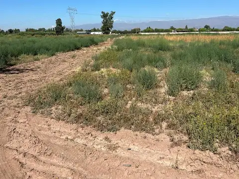 Campo en Venta en Colonia Segovia, Guaymallén