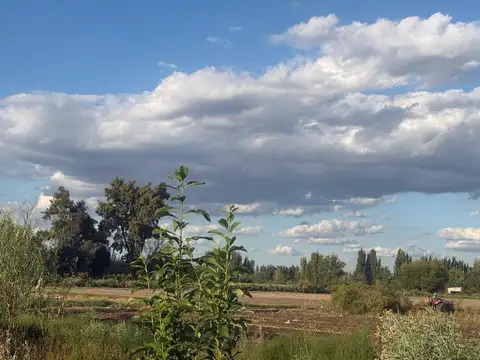 EXCLUSIVA FINCA CON POZO SURGENTE, PROPIO