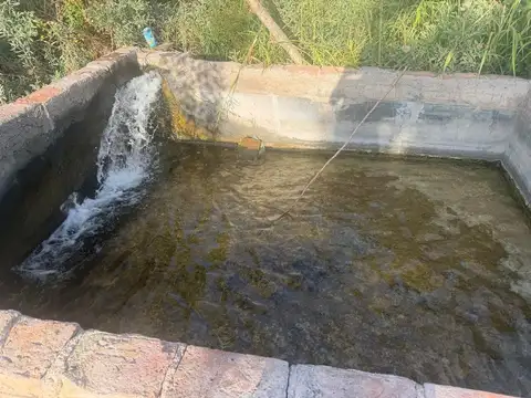 EXCLUSIVA FINCA CON POZO SURGENTE, PROPIO