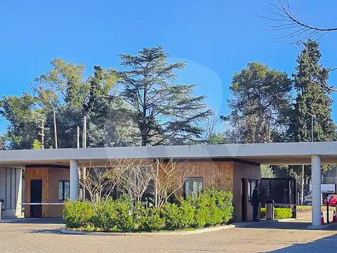 Barrio el Olivar, Pilar