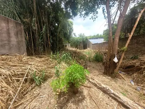Terreno en Venta 8  mts Frente