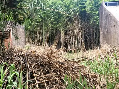 Terreno en Venta 60  mts Fondo