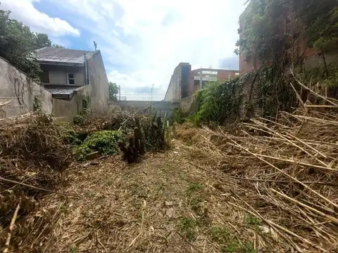 1 de mayo  al 1350 Remedios de escalada