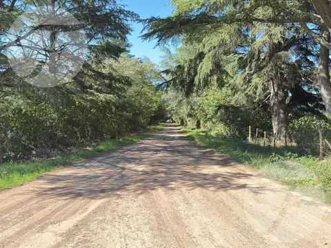 Venta de Chacra de 5 hectáreas productivas - Gobernador Castro, San Pedro