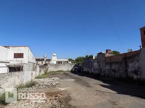 Goethe & Doctor Delfor Diaz 1